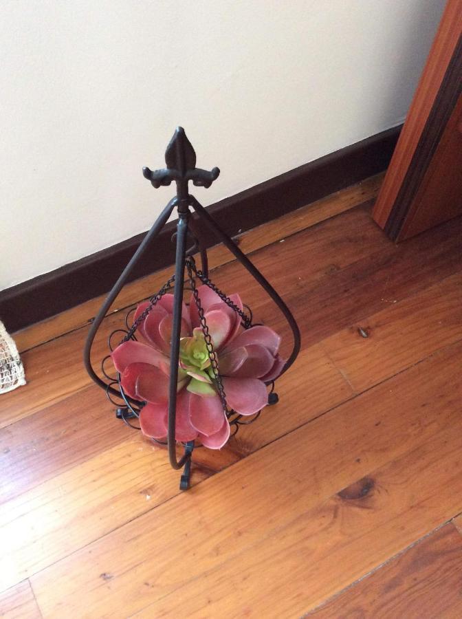 Garden View Apartment Horta  Bagian luar foto